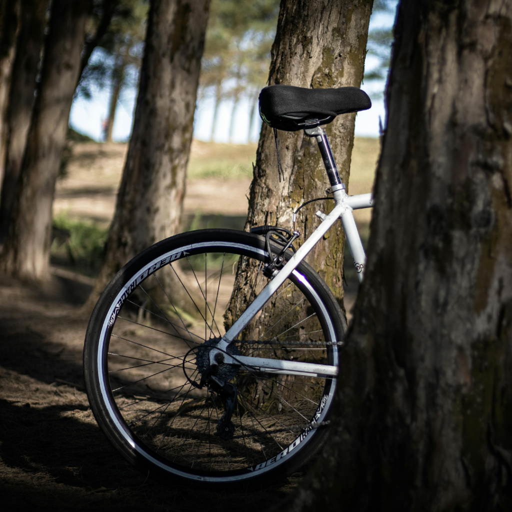 pakiet Velo Baltica Hotel Jantar pobyt HB nad morzem euro velo