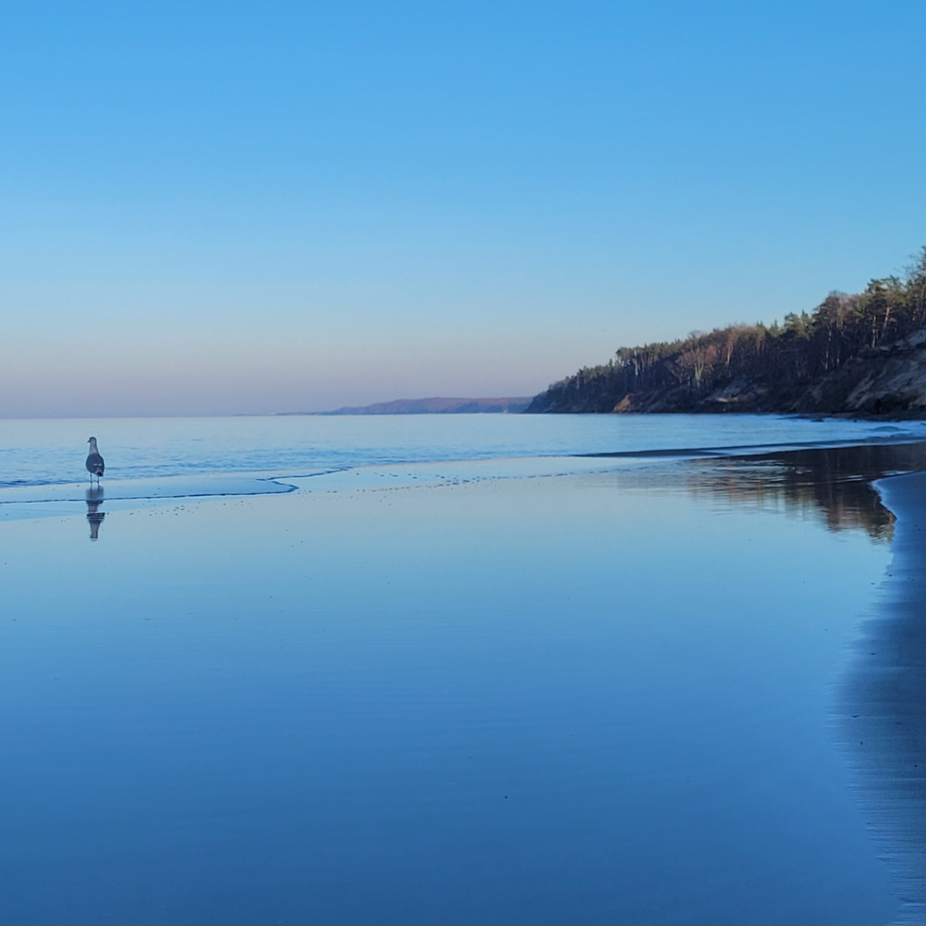 Spokojna tafla Bałtyku i piaszczysta plaża w Ustce przy błękitnym niebie