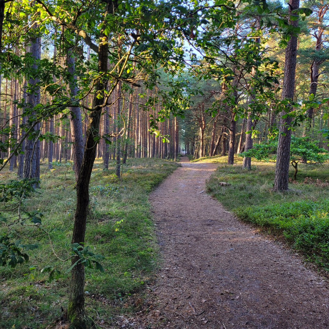 okolica hotelu jantar